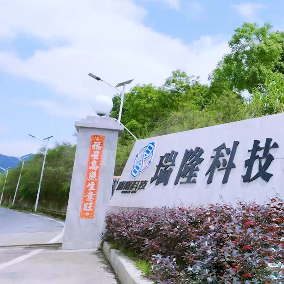 为什么选择我们