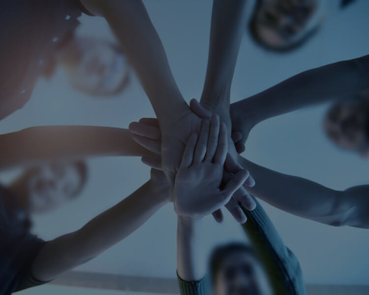 我们欢迎任何人与我们取得联系！